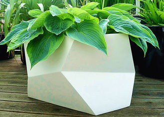 Irregular Multilateral Metal Stainless Steel Planter For Home / Hotel / Garden